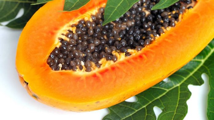 papaya