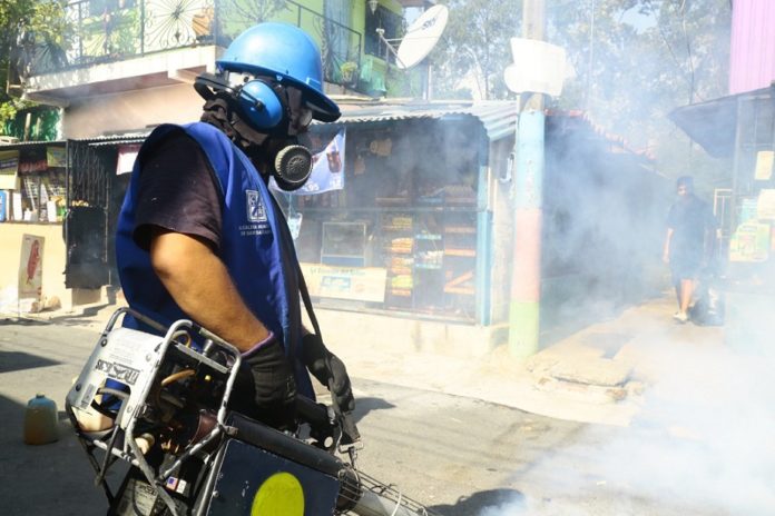 campaña fumigación