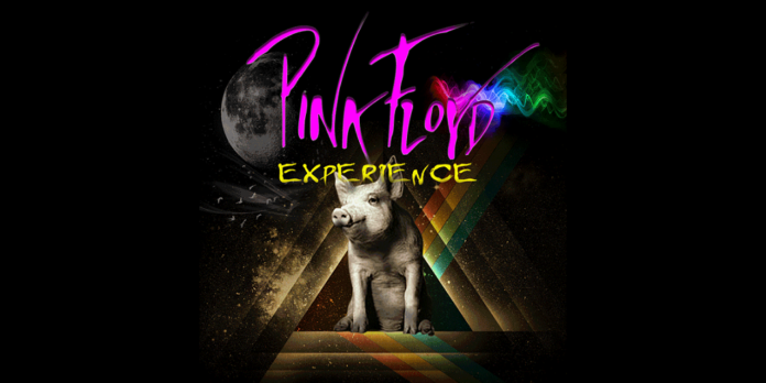 pink floyd