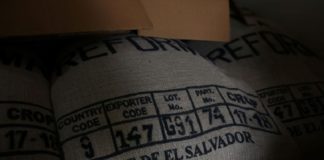 Exportaciones de café de El Salvador caen 30% frente a cosecha previa