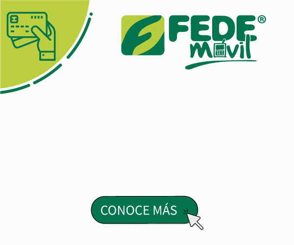 fedemovil