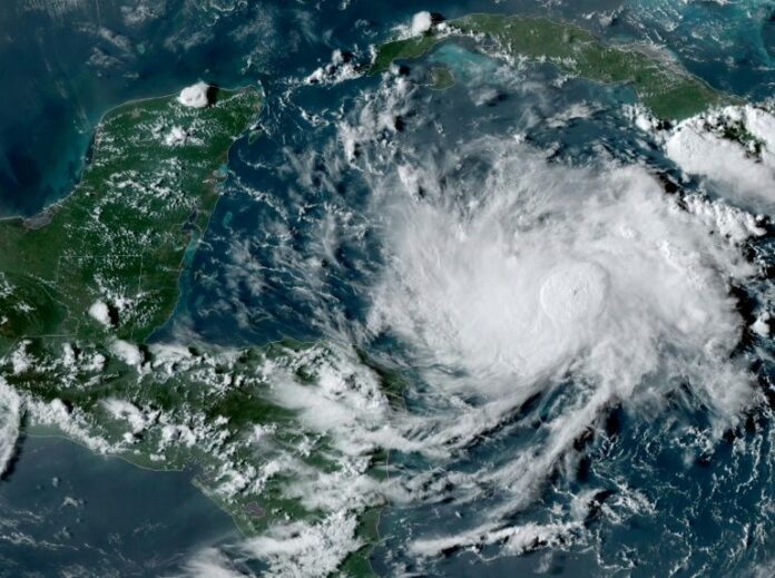 tormenta nana