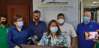 FMLN propone el fomento de los huertos familiares