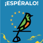 METROPOLITANODIGITAL_BannerInvasivoTorre-_300X600_Expectacion