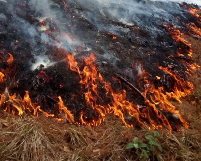 incendios
