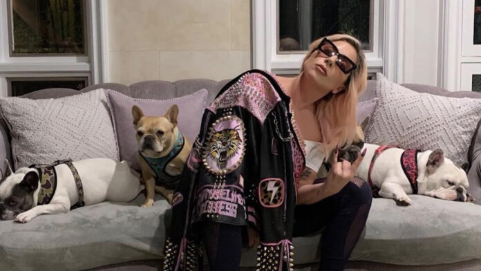lady-gaga-with-dogs-super-tease
