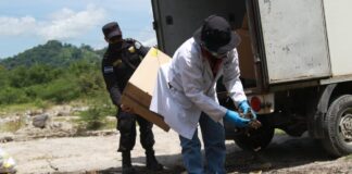 Autoridades destruyen varios gramos de marihuana y cocaína