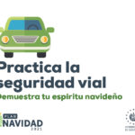 Seguridad Vial 300×250