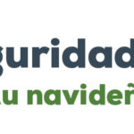 Seguridad Vial 728×90