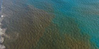 Emiten Alerta por «marea roja tóxica» en el país