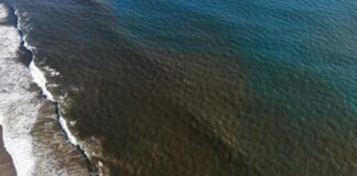 Medio Ambiente extiende veda de moluscos por marea roja por 8 días más