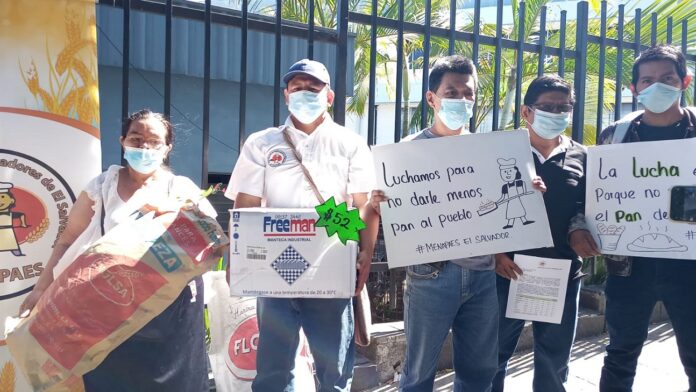 panificadores