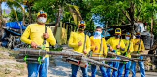 Anuncian desarrollo de 2 mega jornadas de fumigación y abatización