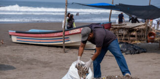 Colaboradores del FGR participa en jornada de limpieza en Barra de Santiago
