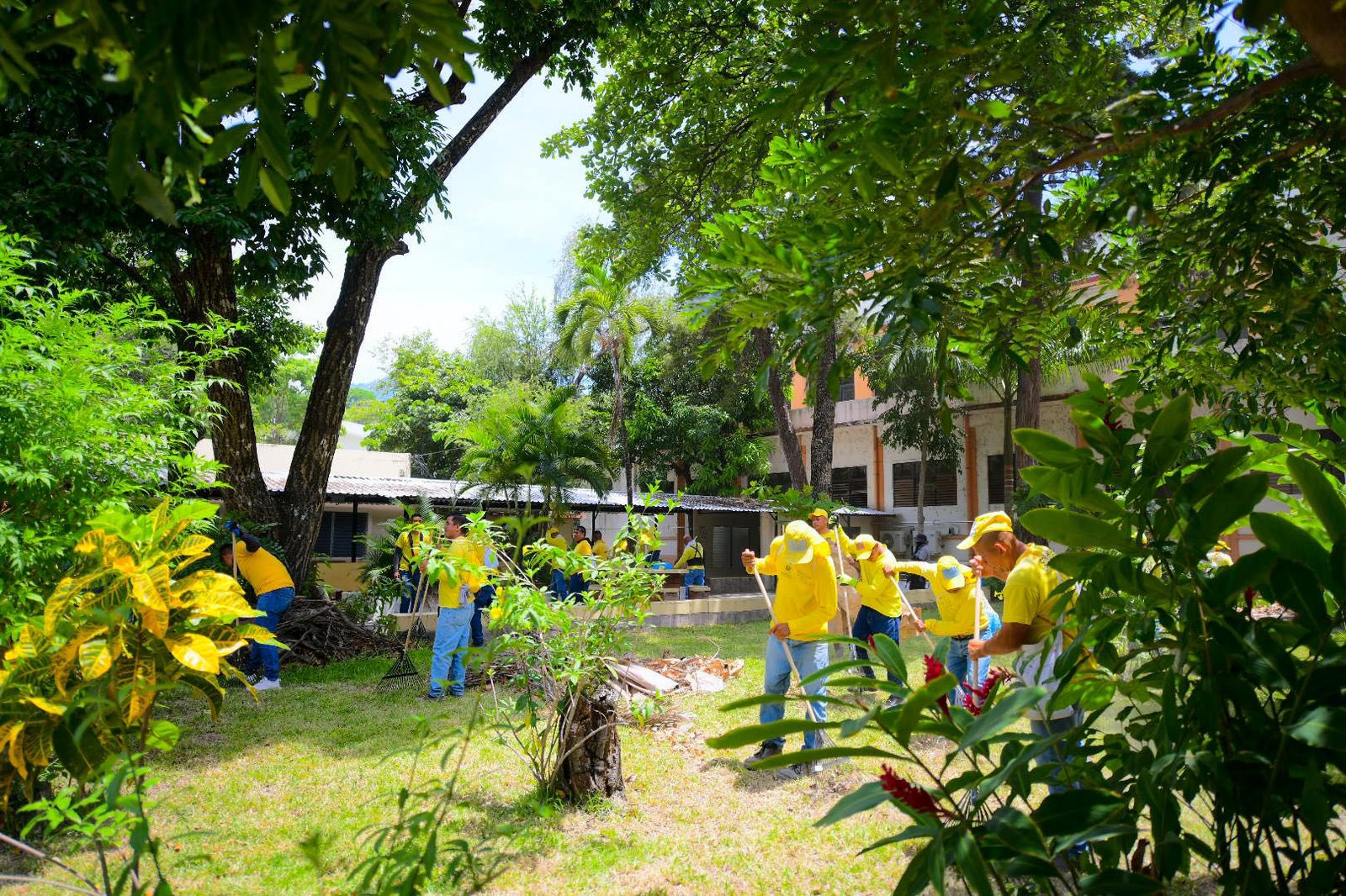 Cleaning work continues at the University of El Salvador Time News