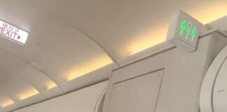 Pasajero coreano con «crisis de esquizofrenia» abre en pleno vuelo puerta de avión