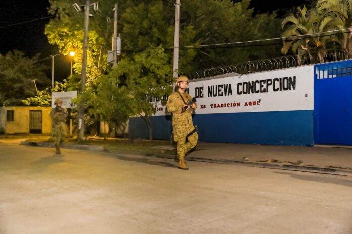 nueva concepción