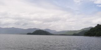 MULTIMEDIA | Yojoa una aventura acuática