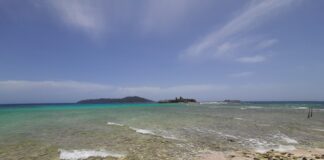 La Ceiba y sus representantes «Cayos Cochinos»