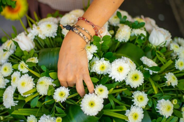 WhatsApp Image 2023-10-25 at 2.30.50 PM