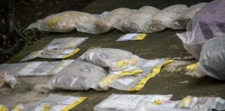 FGR destruirá $136,213.62 Dólares de Droga