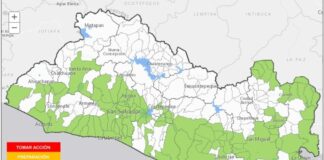 Reportan probabilidad de deslizamientos y caídas de árboles