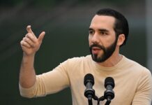 Nayib Bukele enviará 3 aviones de ayuda humanitaria a Jamaica