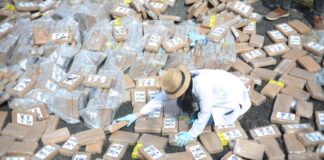 Destruyen más de 1,400 kilos de cocaína