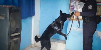 Capturan a estructura de supuestos narcotraficantes