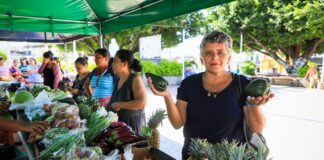 Presidente Bukele anuncia seis nuevos agro mercados