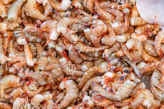 WhatsApp Image 2024-10-01 at 9.09.40 AM (1)