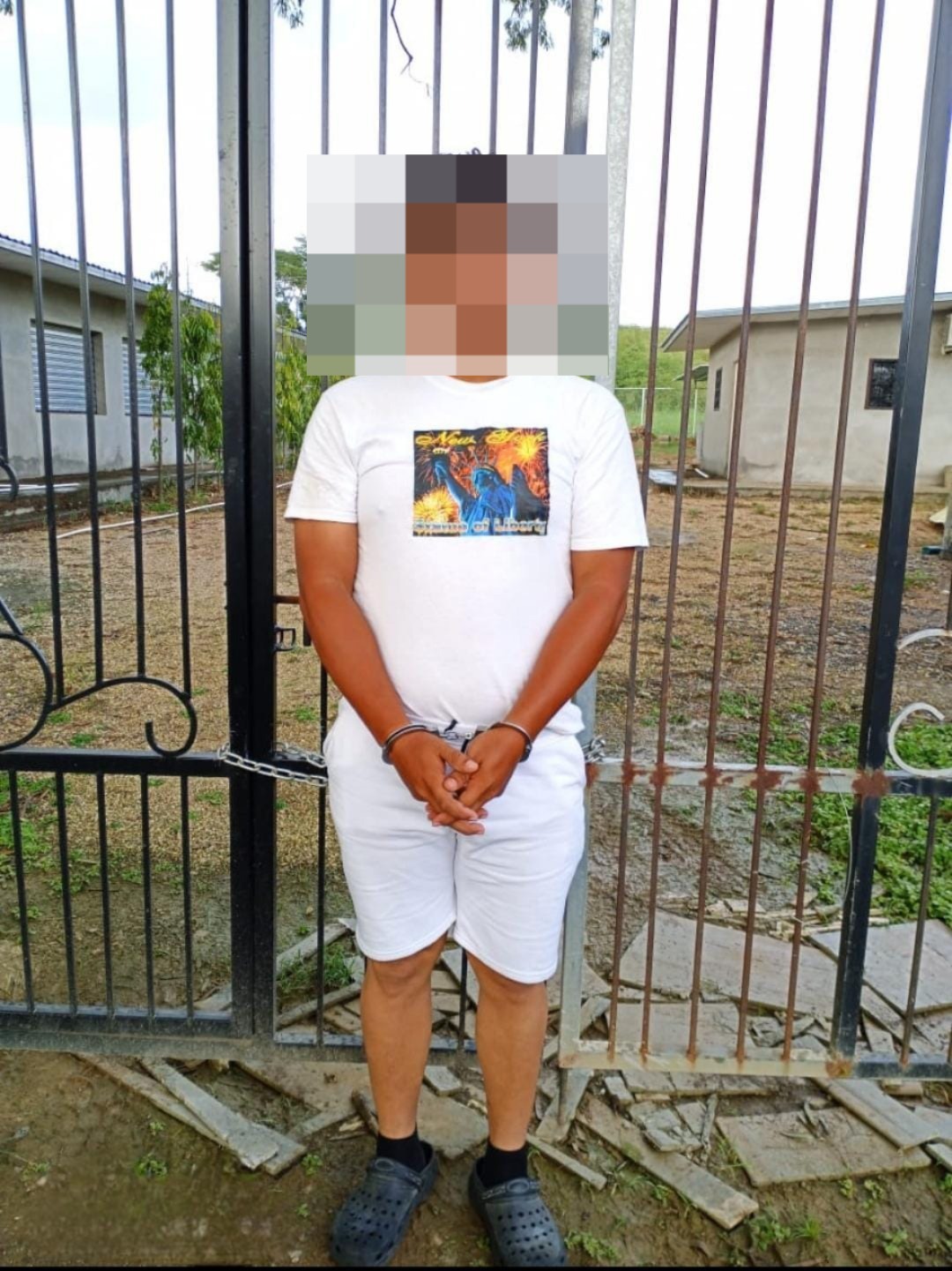 WhatsApp Image 2024-11-05 at 11.34.24 AM