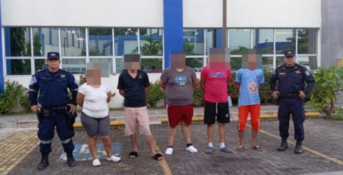 WhatsApp Image 2024-12-19 at 4.19.59 PM