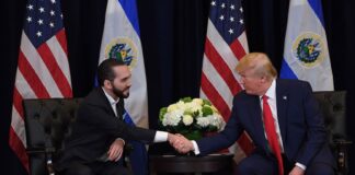 Trump habló con Bukele por teléfono y lo elogió por su «fuerte liderazgo» en la región