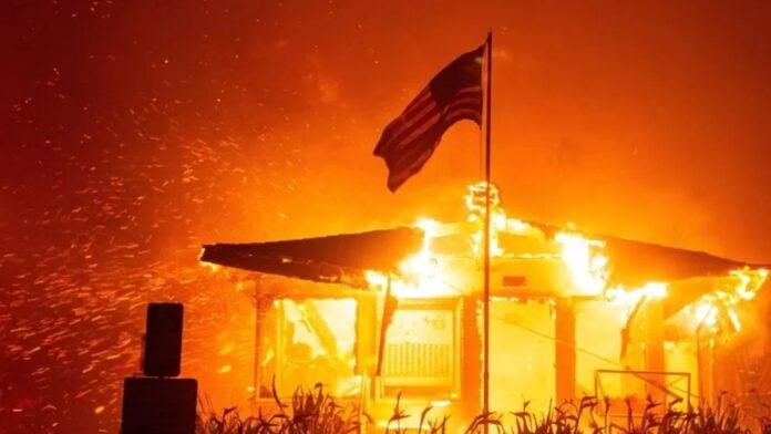 WhatsApp Image 2025-01-10 at 4.52.58 PM