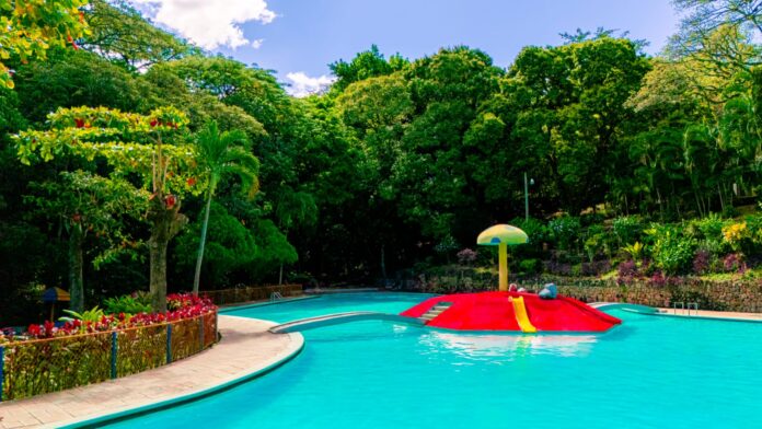 WhatsApp Image 2025-09-04 at 2.12.55 PM