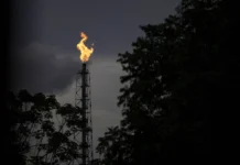 Brasil, entre el petróleo y la Amazonía: la paradoja del anfitrión de la COP30