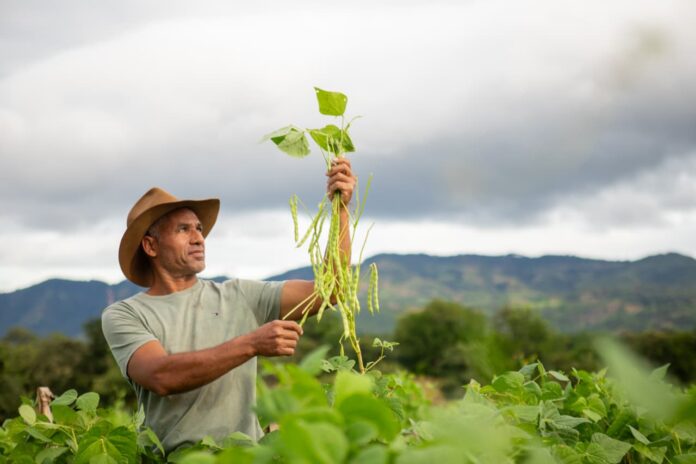 WhatsApp Image 2025-11-20 at 10.07.53 AM