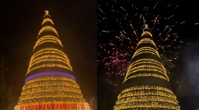 Medio millón de luces iluminan el árbol navideño de San Martín en el Salvador del Mundo