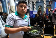 Los cultivos de hoja de coca en Bolivia se incrementaron un 10 % en 2024, según la ONU