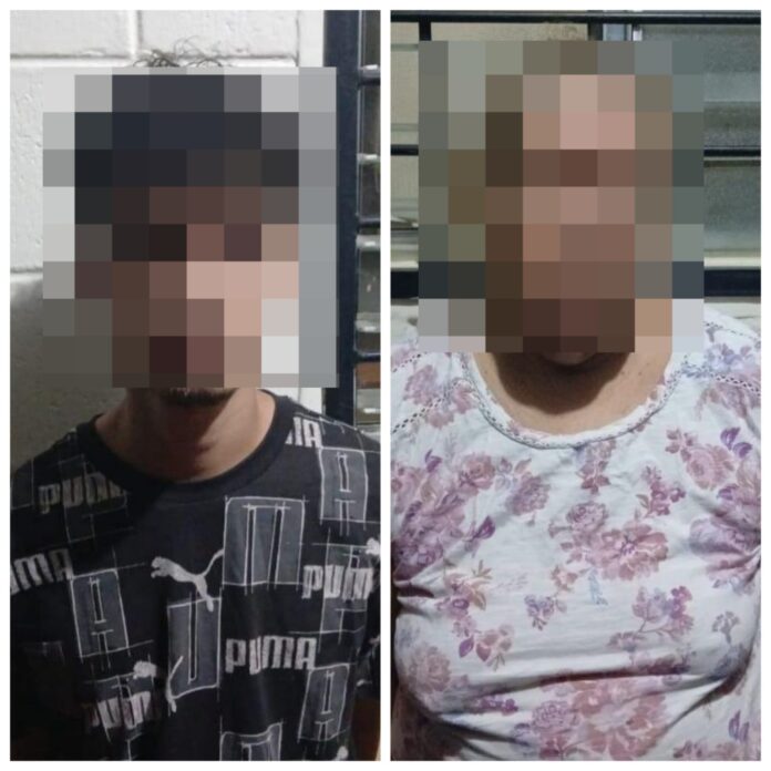 WhatsApp Image 2025-12-11 at 1.53.32 PM