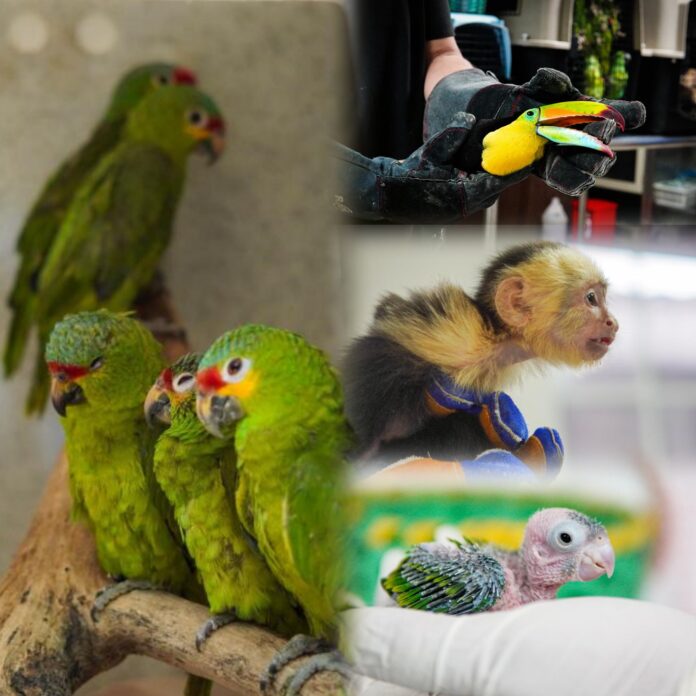 InCollage_20260127_165903968