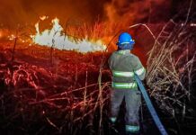 Incendios en maleza han incrementado un 76%, según bomberos