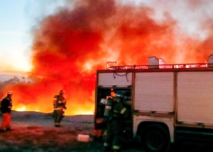 WhatsApp Image 2026-01-29 at 11.10.11 AM WhatsApp Image 2026-01-29 at 11.10.11 AM