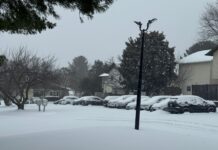 Muertes y congelamiento: Así fue el paso de la tormenta invernal en U.S.A