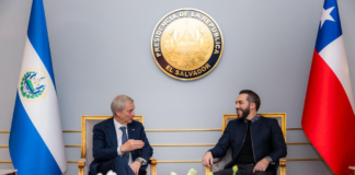 Bukele y Kast acuerdan fortalecer cooperación en seguridad durante encuentro en El Salvador