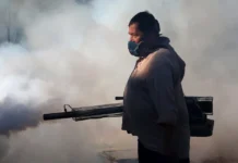 Bolivia registra cinco muertes por chikunguña y los casos se elevan a 3.938