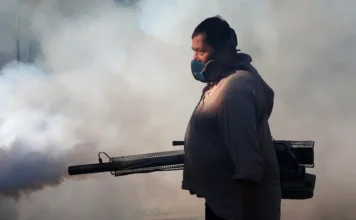 Bolivia registra cinco muertes por chikunguña y los casos se elevan a 3.938