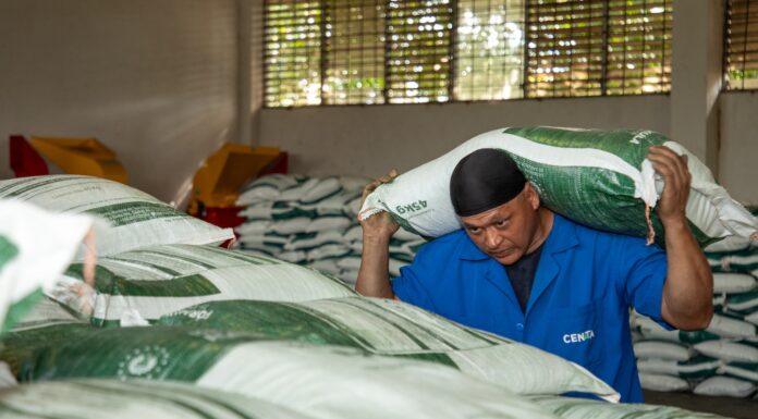 Gobierno facilita la venta de insumos agrícolas a bajo costo para proteger la producción nacional