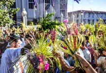 Feligreses participan en procesión de Domingo de Ramos en el Centro Histórico